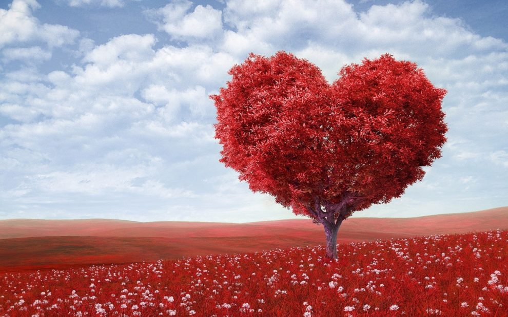 Soirée Saint Valentin BDE ACEED